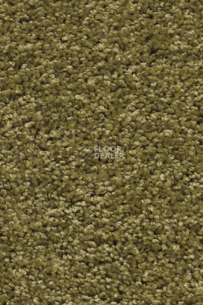 Ковролин AW Devotion 23 фото 1 | FLOORDEALER